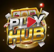 PlayHub